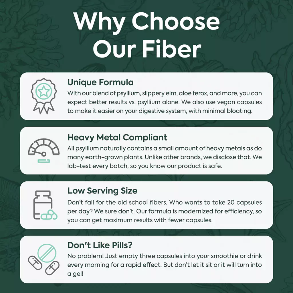 Better Fiber - Image 5