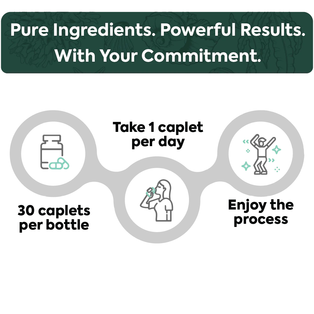 One-Per-Day Shilajit - Image 4