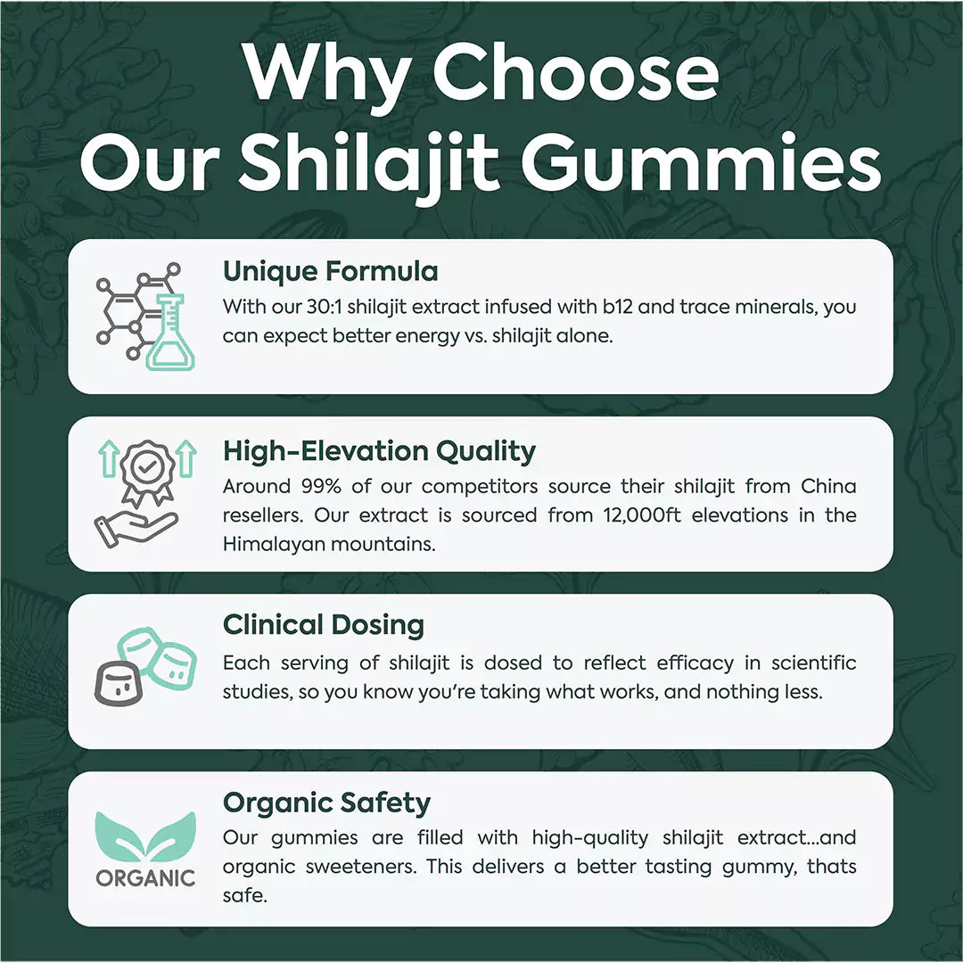 Purified Shilajit Gummies - Image 5