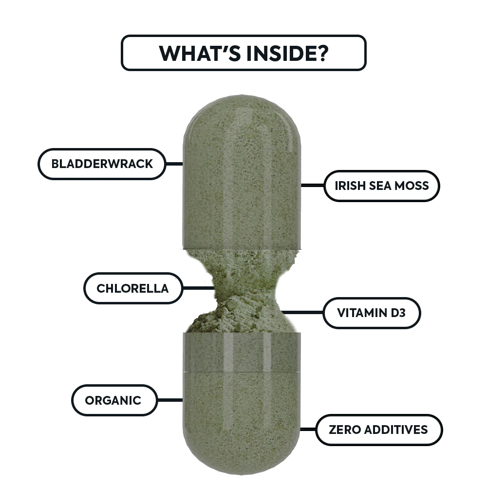 Wild Sea Moss - Image 3