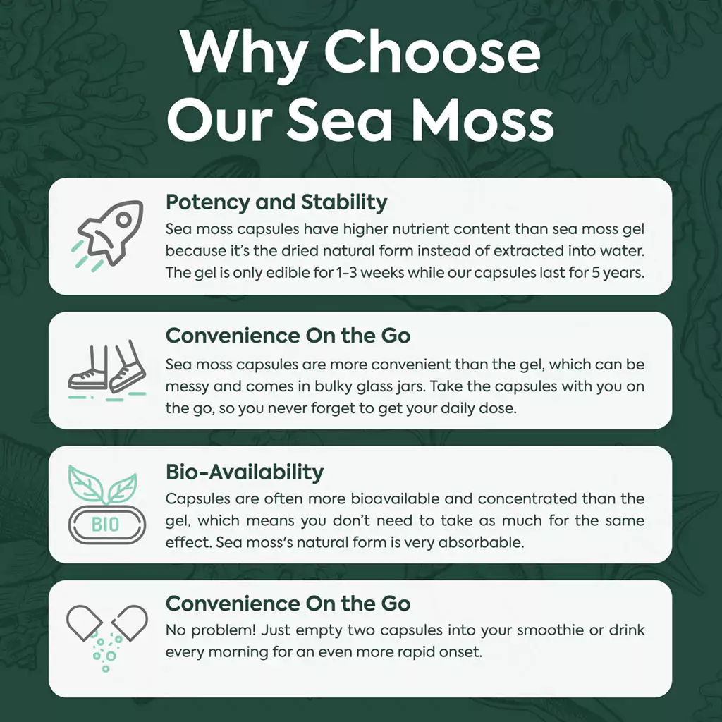 Wild Sea Moss - Image 5